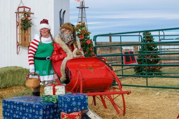 milehighfarms winterfestival 2021 55