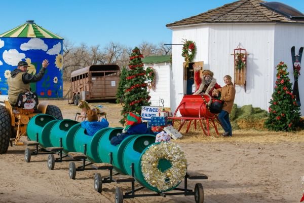 milehighfarms winterfestival 2021 59