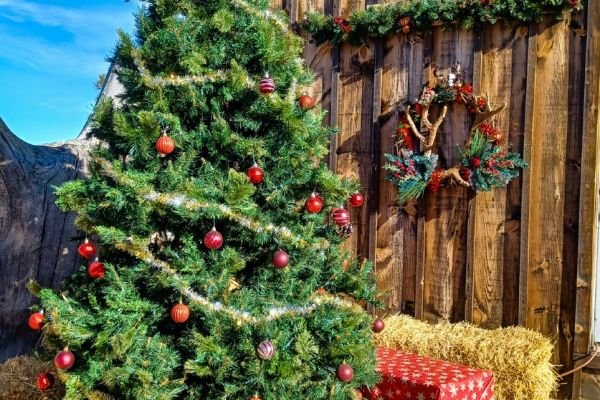 milehighfarms winterfestival 2021 67