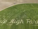 Denver Corn Maze 2024